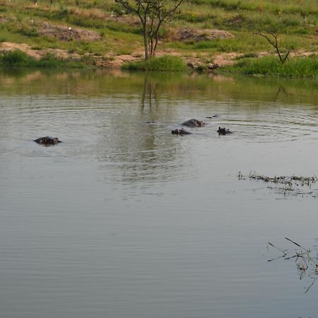 Kruger Park Lodge - Golf Safari Sa Hazyview Bagian luar foto