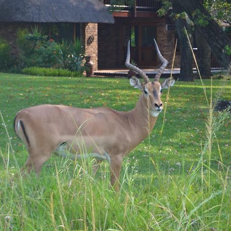 Kruger Park Lodge - Golf Safari Sa Hazyview Bagian luar foto