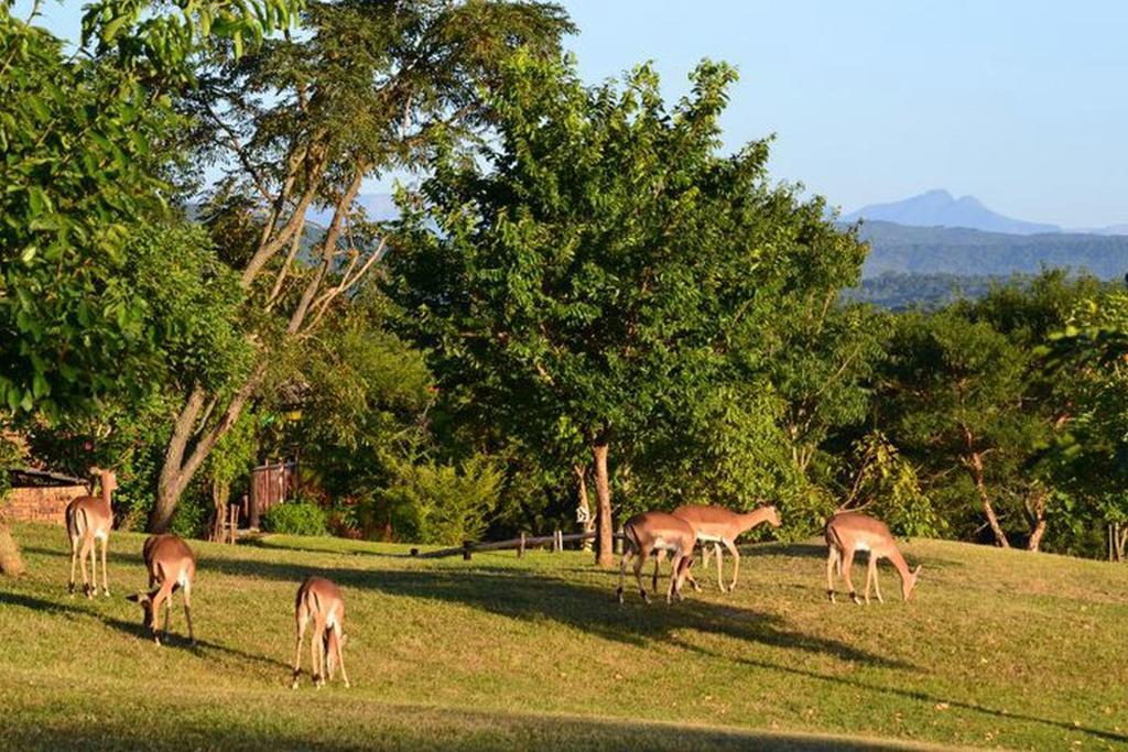 Kruger Park Lodge - Golf Safari Sa Hazyview Bagian luar foto