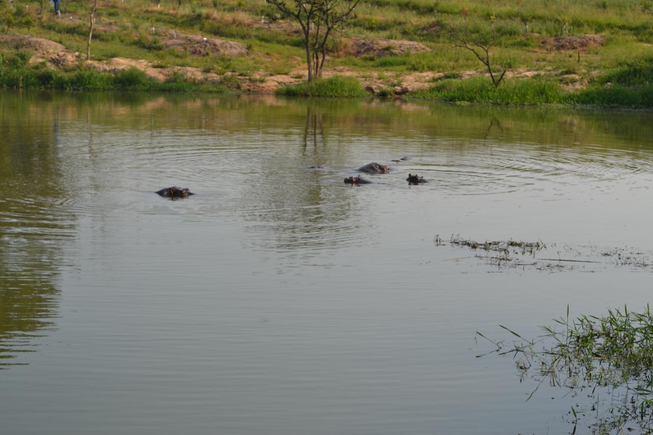 Kruger Park Lodge - Golf Safari Sa Hazyview Bagian luar foto