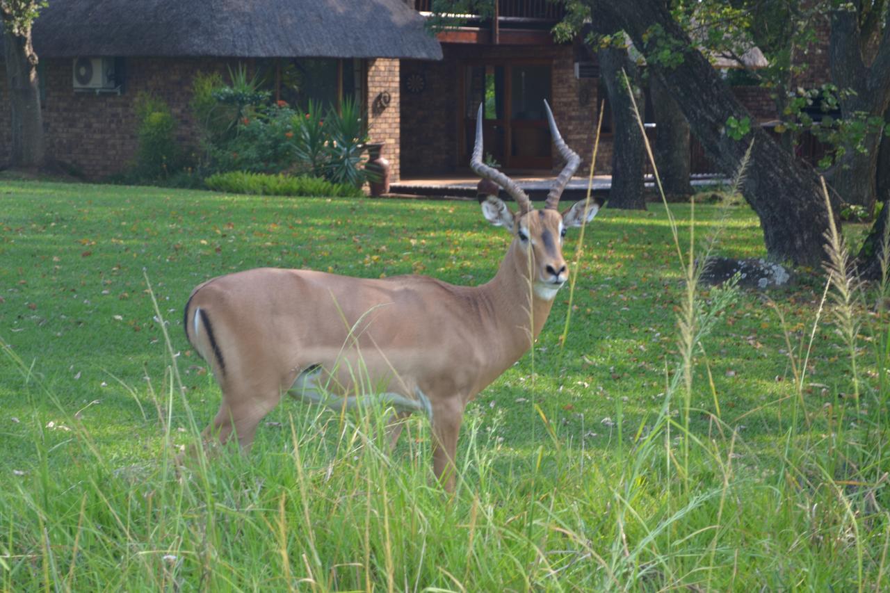 Kruger Park Lodge - Golf Safari Sa Hazyview Bagian luar foto