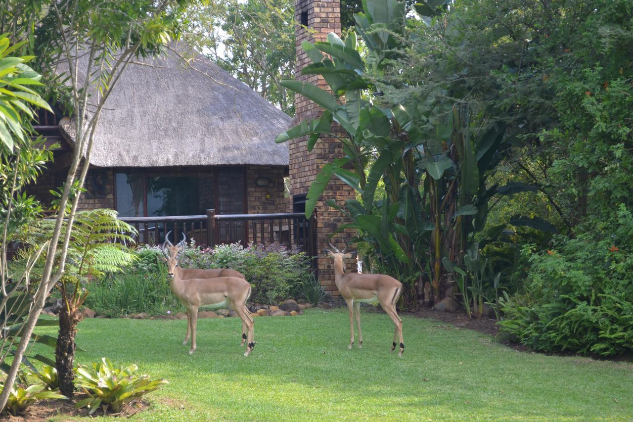 Kruger Park Lodge - Golf Safari Sa Hazyview Bagian luar foto
