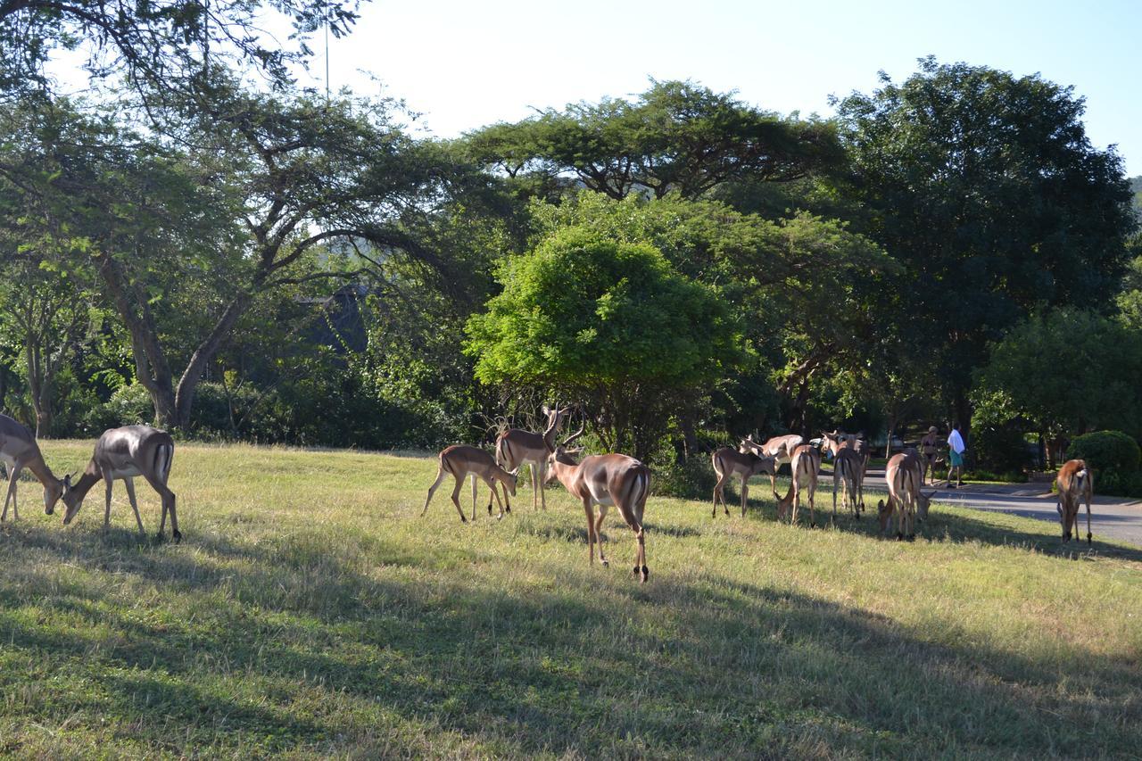Kruger Park Lodge - Golf Safari Sa Hazyview Bagian luar foto