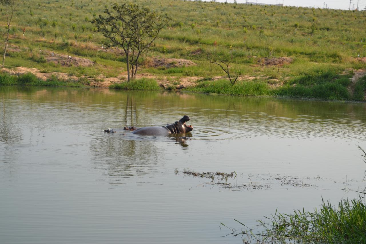 Kruger Park Lodge - Golf Safari Sa Hazyview Bagian luar foto