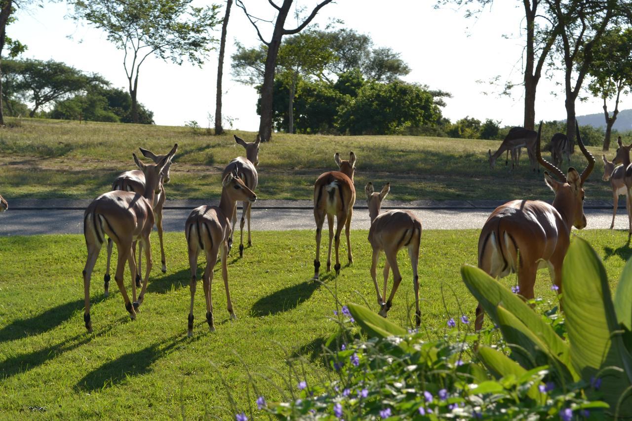 Kruger Park Lodge - Golf Safari Sa Hazyview Bagian luar foto