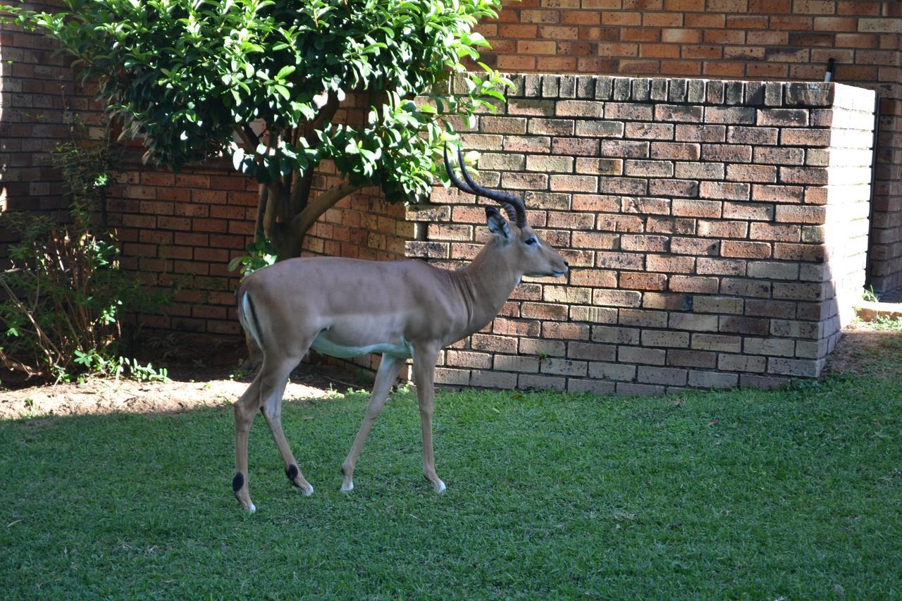 Kruger Park Lodge - Golf Safari Sa Hazyview Bagian luar foto
